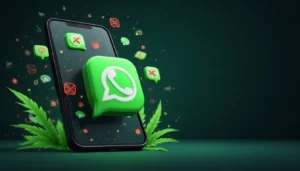 Descubra as principais razões para o banimento do seu WhatsApp